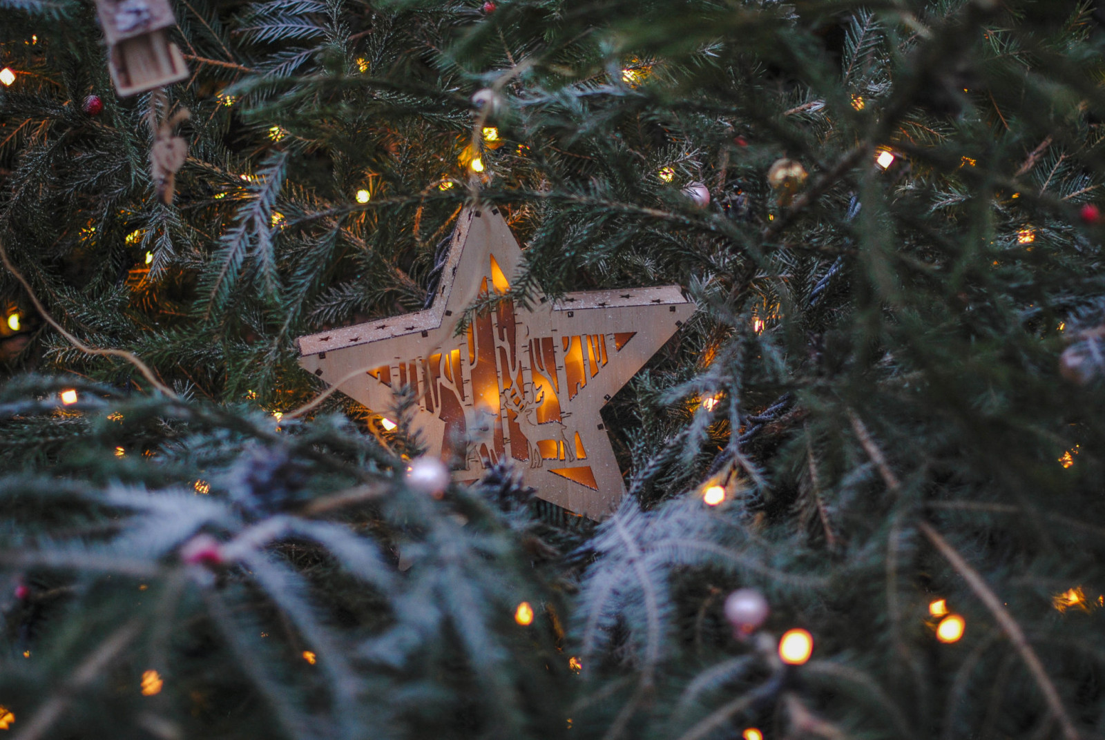 Новый год стучится в дверь