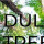 Duluth Tree Service