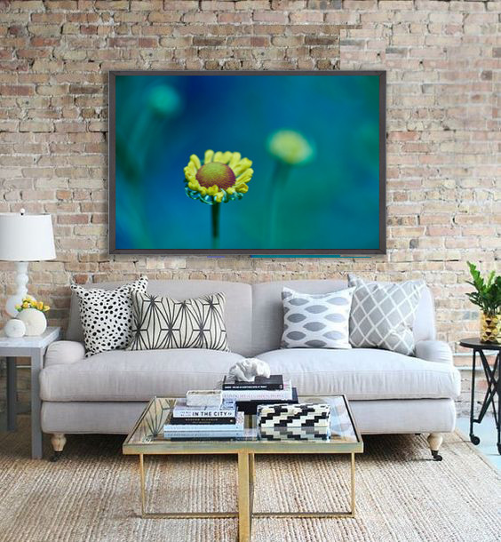 Фотографии -постеры в интерьере