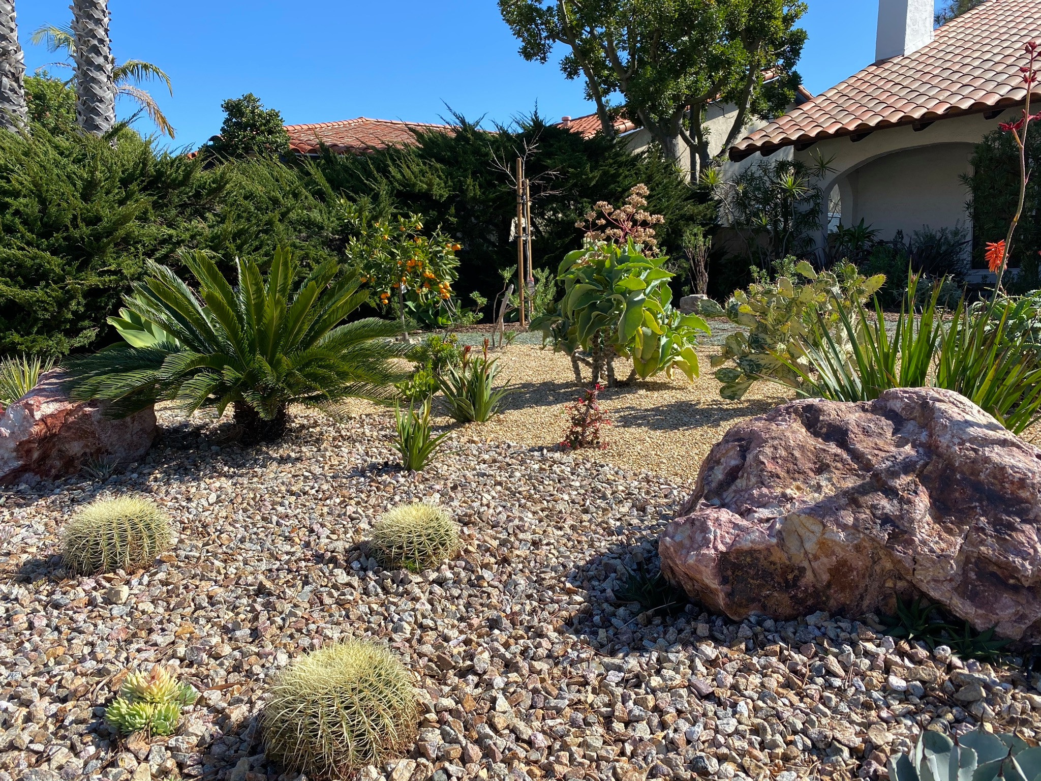 Rancho Palos Verdes, CA - Front Yard Regenerative Renovation