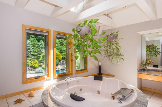 Baths transitional-bathroom