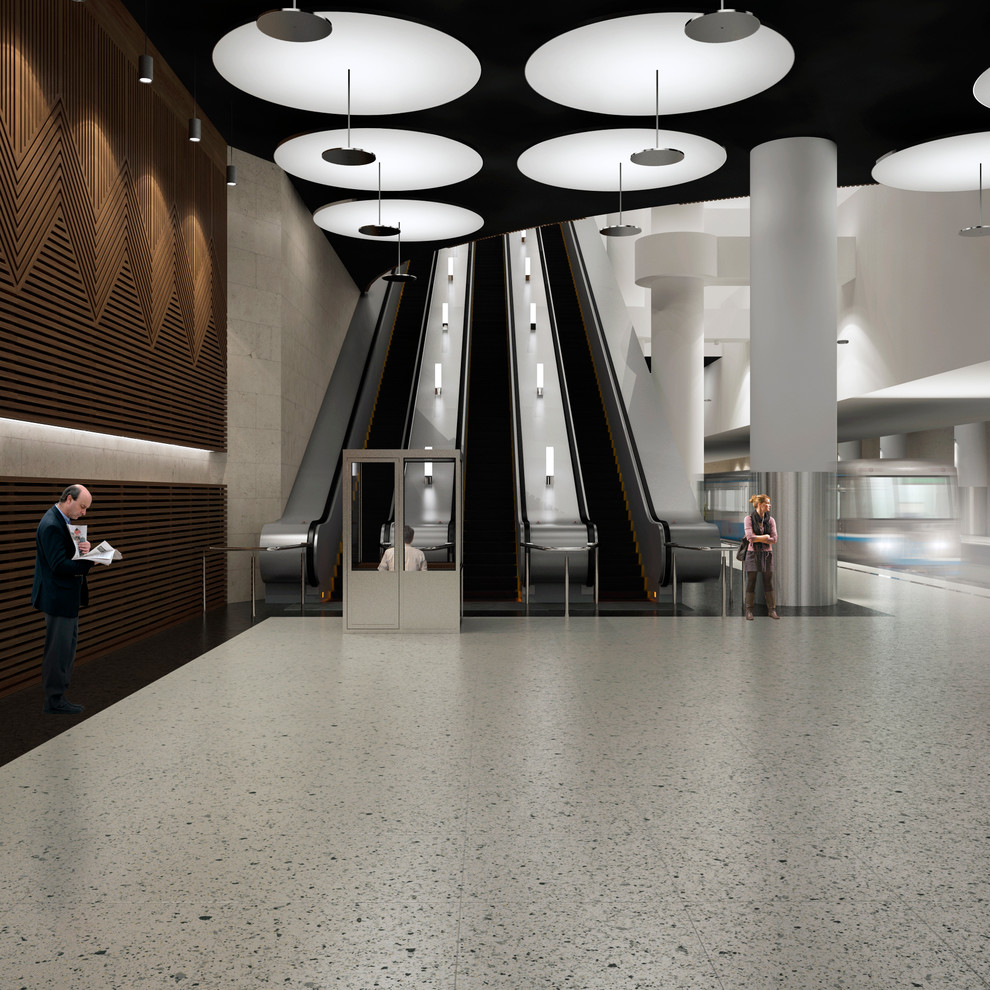 Competition project. Moscow metro station.