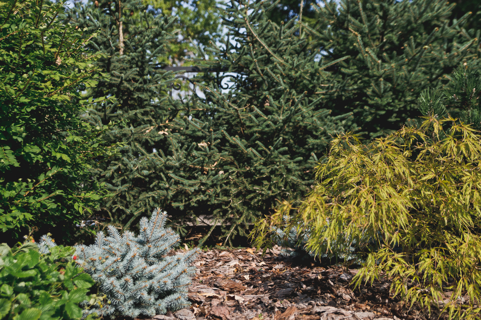 Маленький сад перед таунхаусом