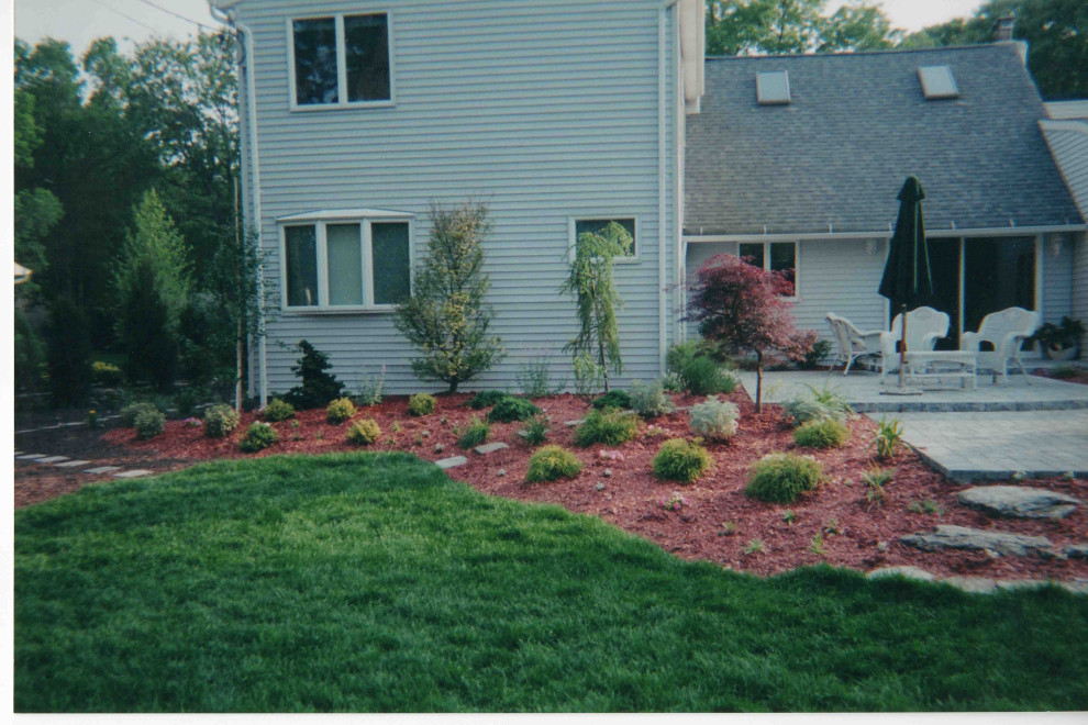 Backyard oasis and complete renovation