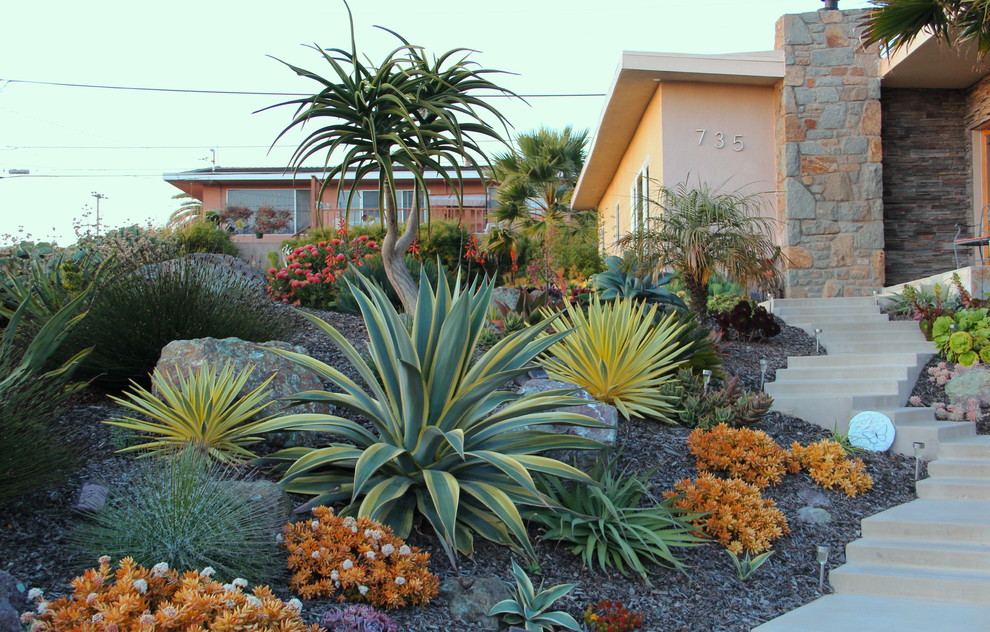 Design ideas for a contemporary xeriscape in San Luis Obispo with a garden path.