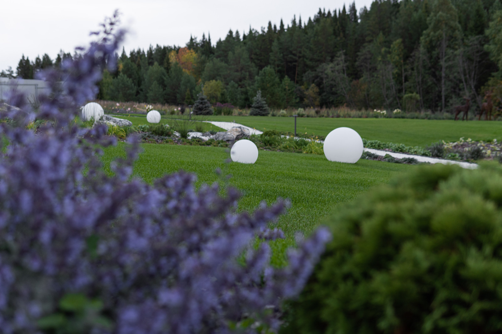На берегу очень тихой реки