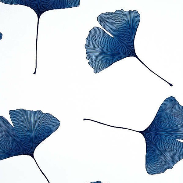 Marimekko Wallpaper Biloba Toronto By Modern Karibou Houzz Marimekko Wallpaper Biloba Toronto By Modern Karibou Houzz