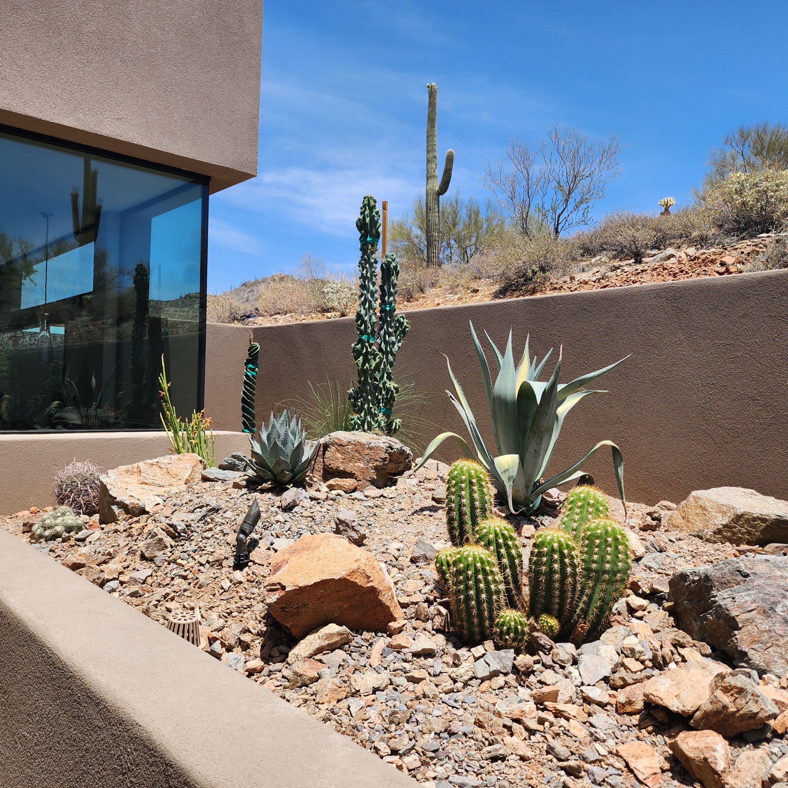 Cave Creek