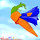 Flying Carrot Designs