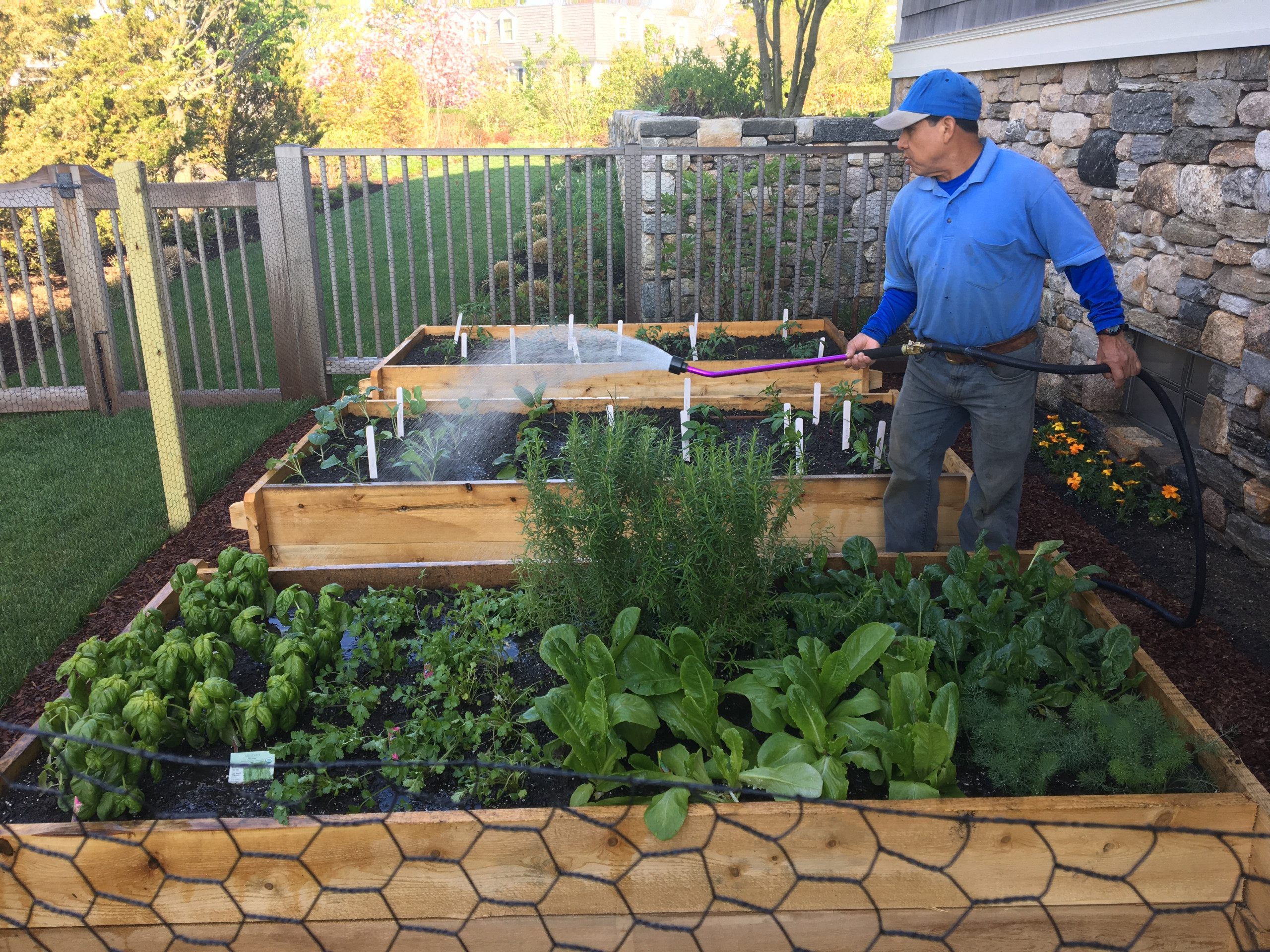 "Raised and Traditional Vegetable Gardens"
