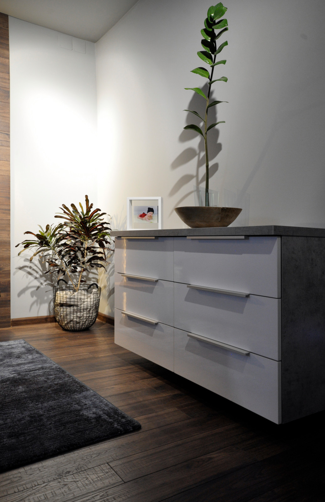 Проект Ивняки