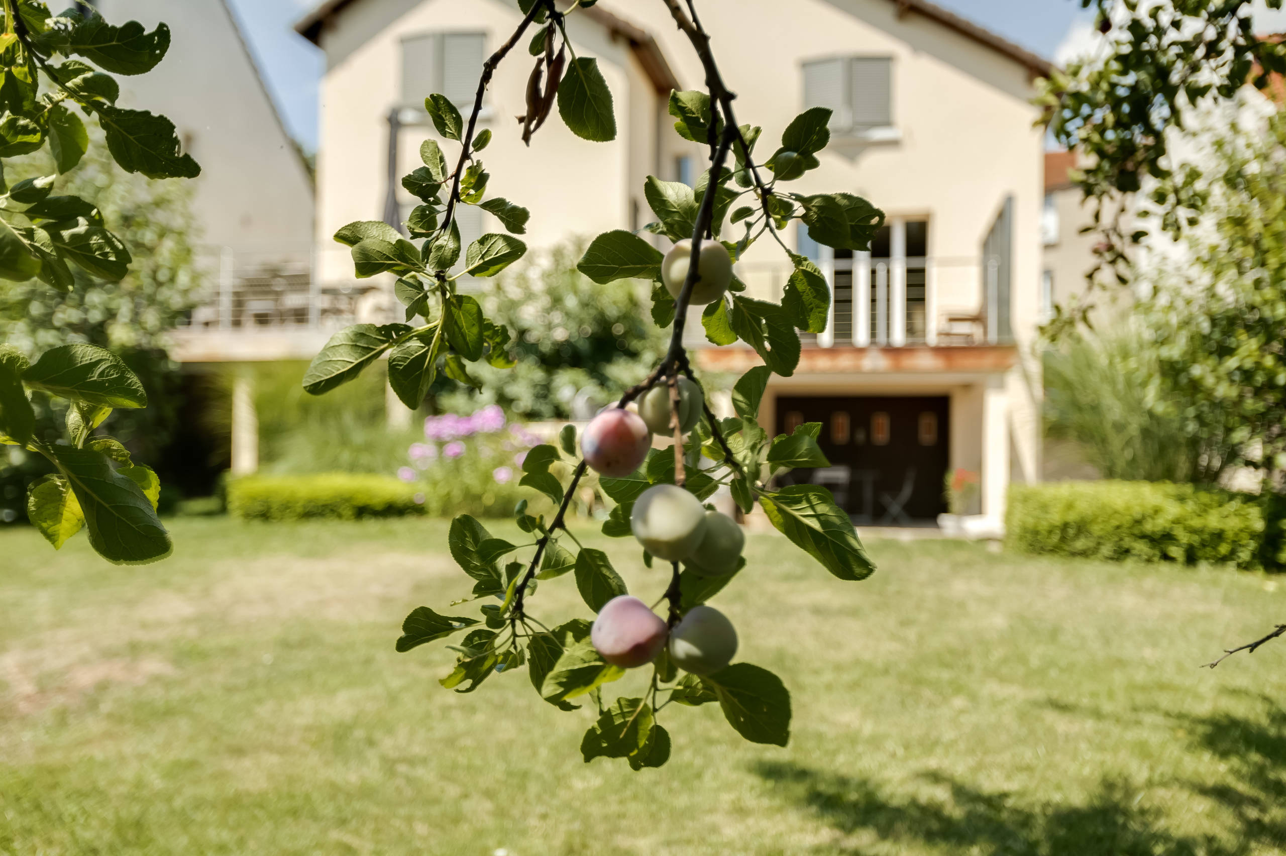 Pour les confitures maison