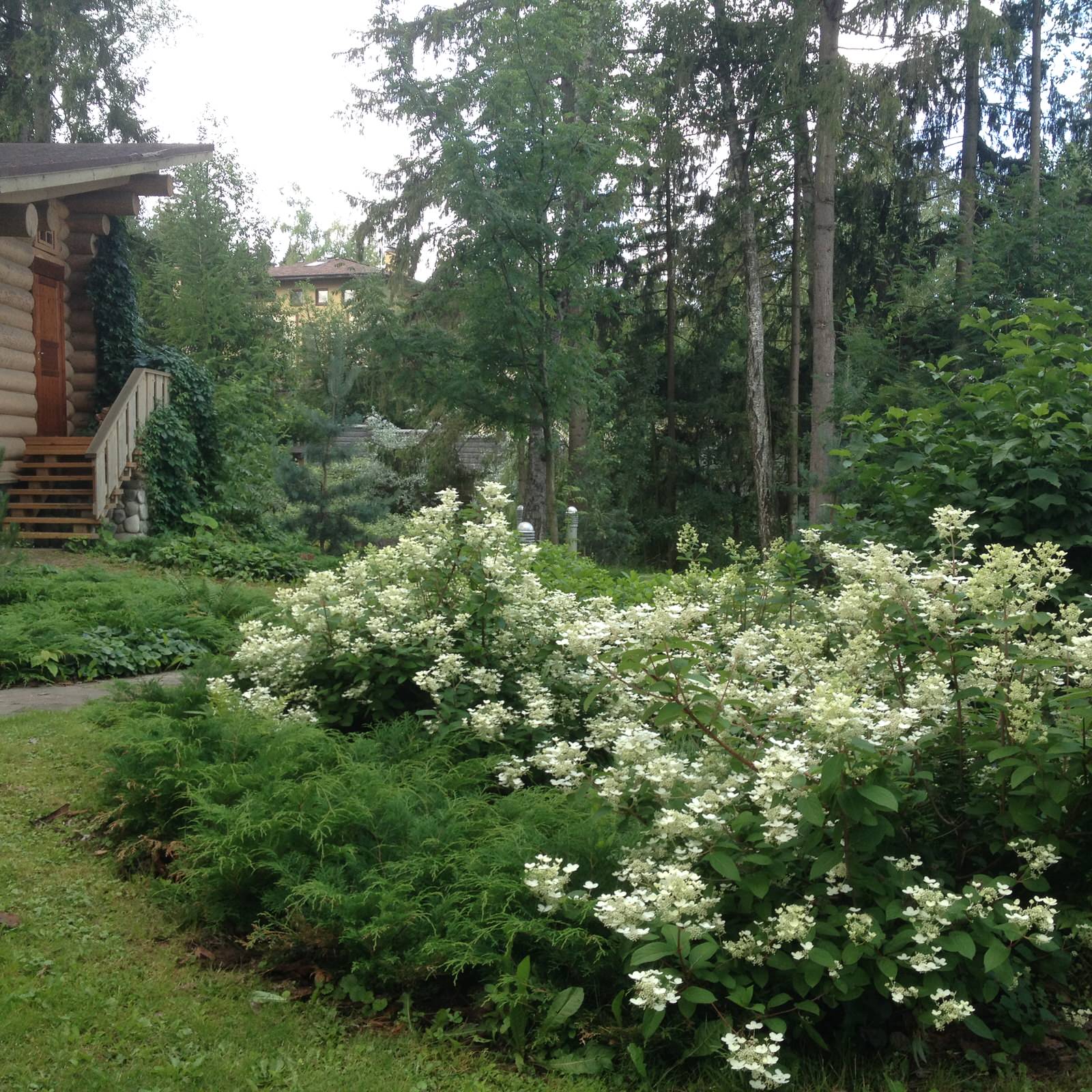 Лесная жизнь