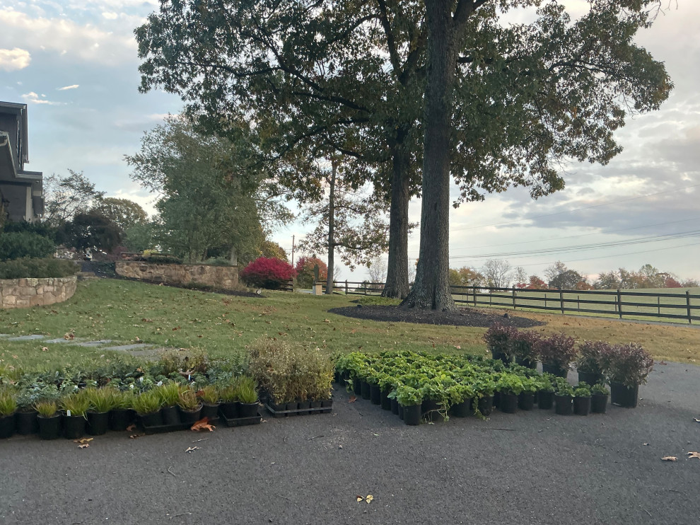 Impactful, serene and native entrance.