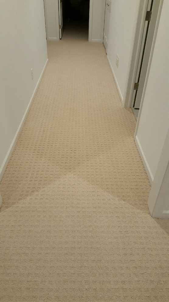Design ideas for a mid-sized traditional hallway in Minneapolis with white walls and carpet.