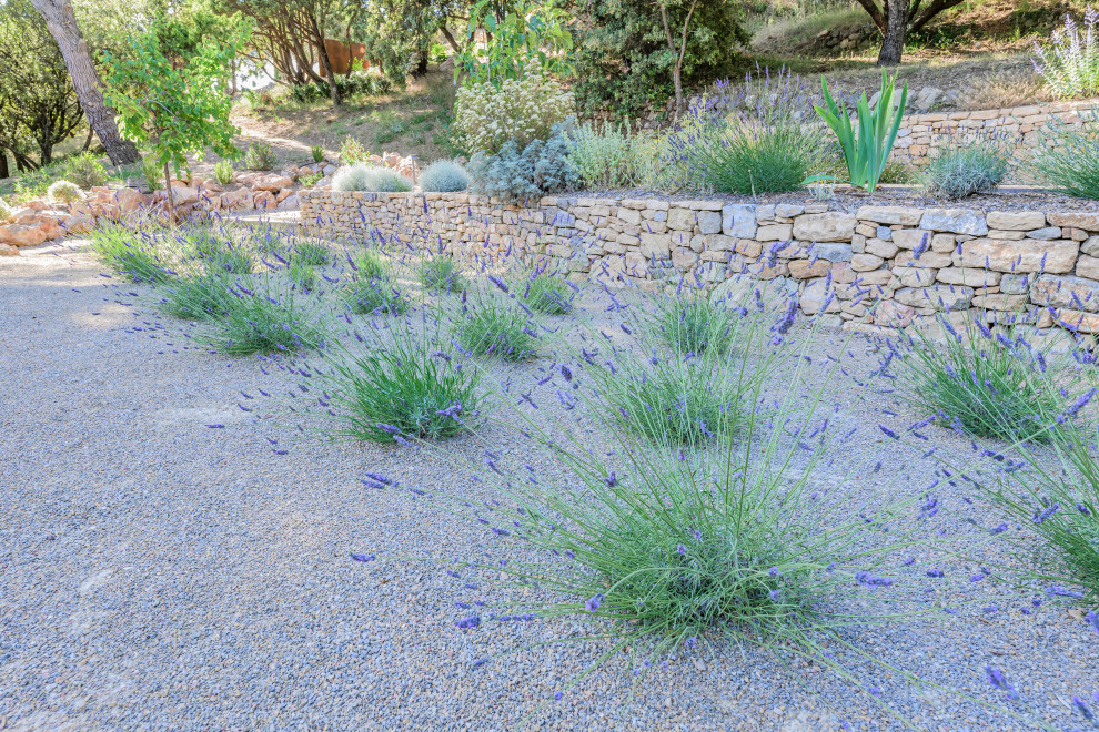 Tourtour - jardin méditerranéen contemporain
