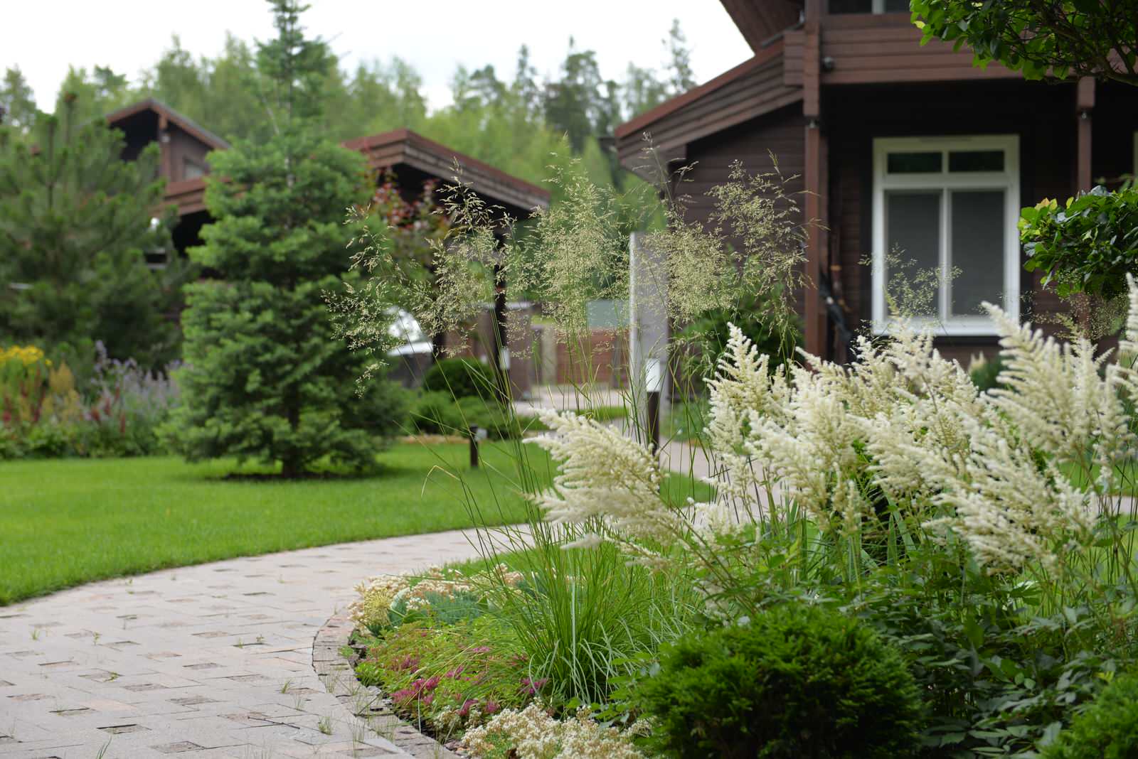 Духанино, 2015