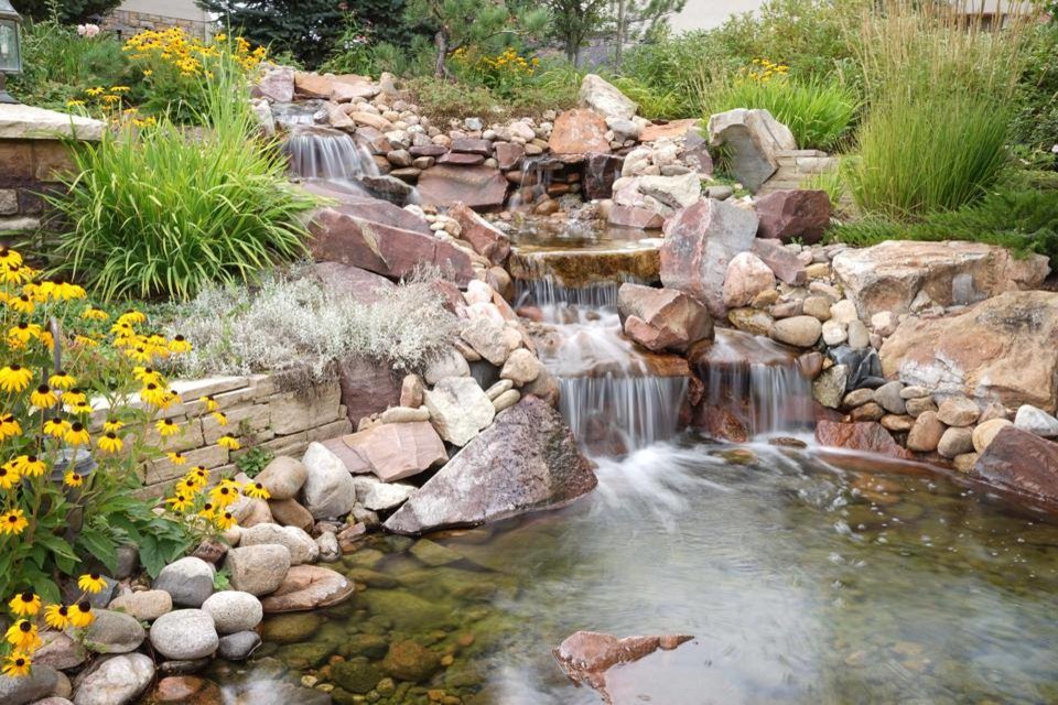 This is an example of a transitional landscaping in Denver.