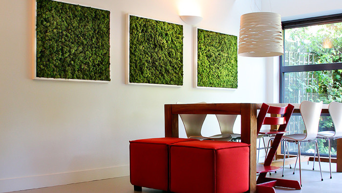 Панно и стены из стабилизированного мха