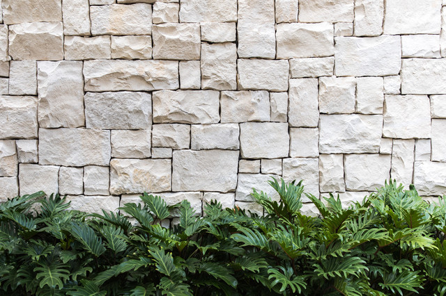 Commonwealth St, Surry Hills mediterranean-garden