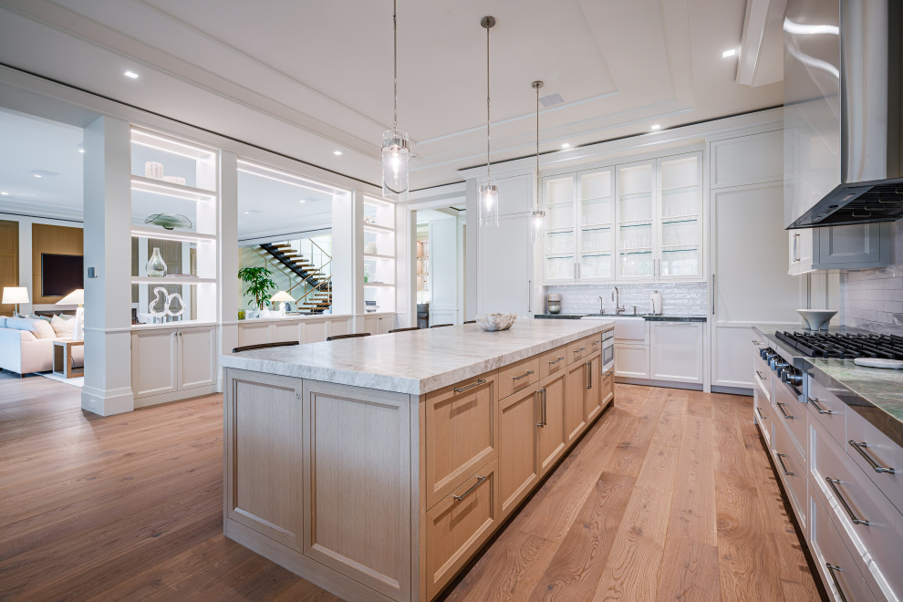 Kitchen - transitional kitchen idea in Miami