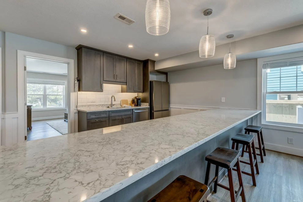 Dolphin Watch (2023)