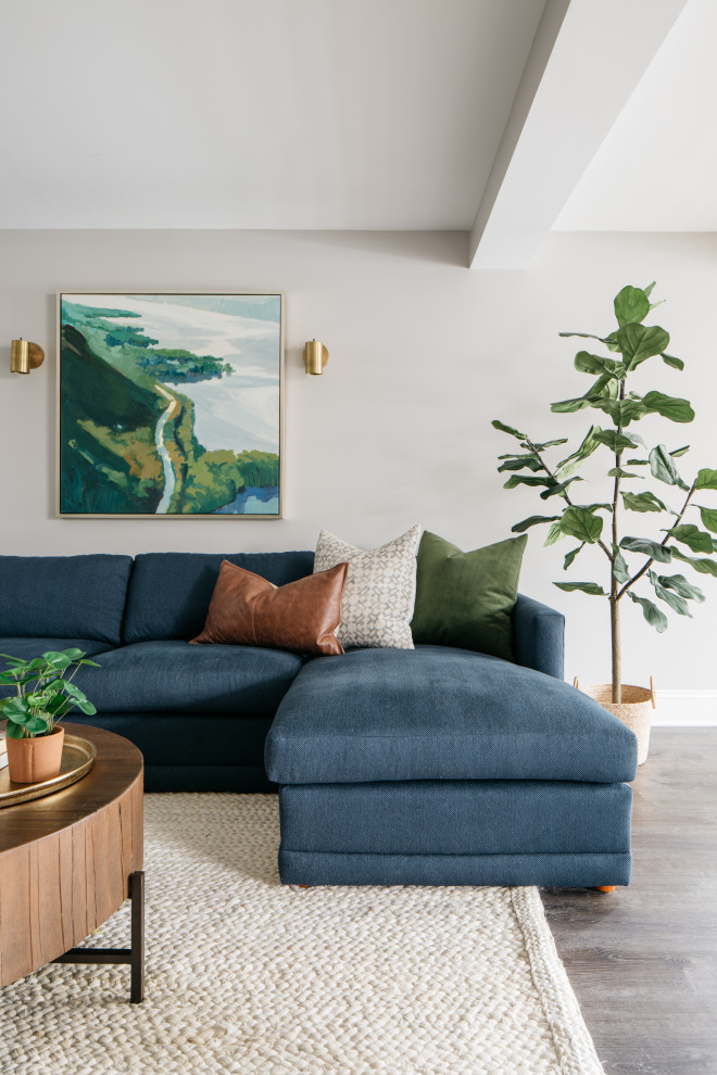 Inspiration for a transitional home design remodel in Chicago