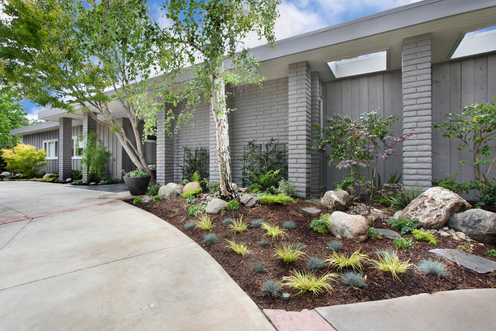 Mid-sized midcentury front yard partial sun driveway in Orange County with a vertical garden and concrete pavers.