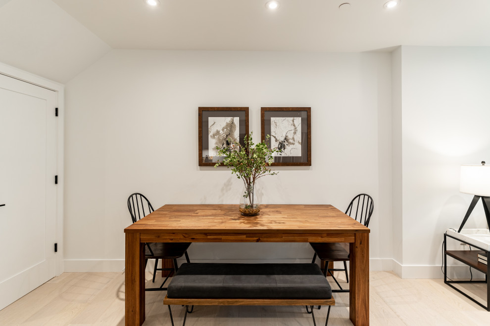 Southwest DC Duplex Renovation