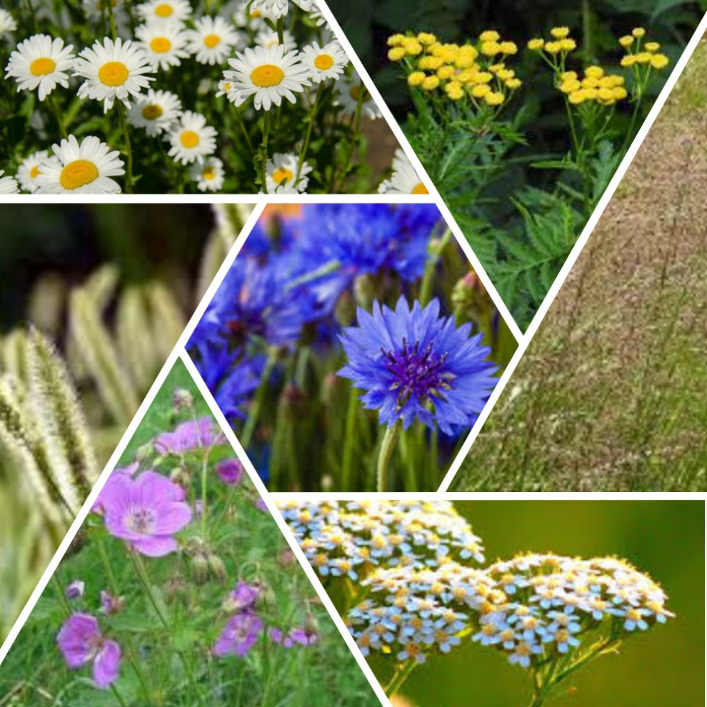 "Крыша русского дома". Проект зоны для детских игр