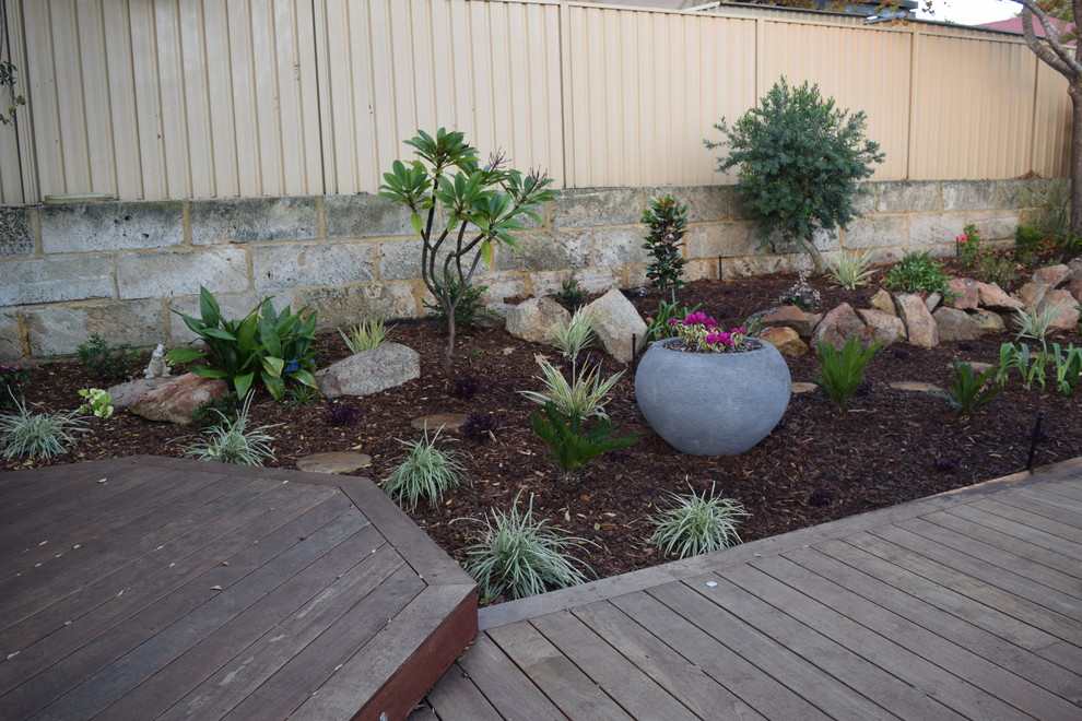 Inspiration for a tropical garden in Perth.