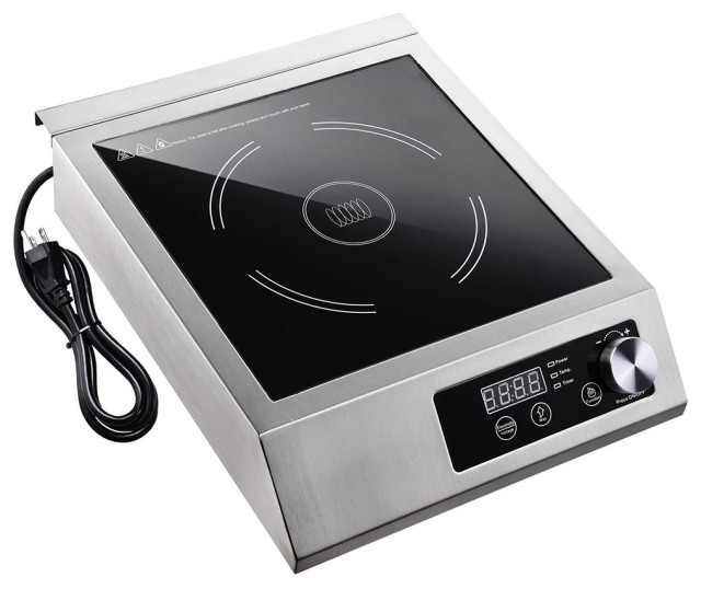 electric induction chulha price