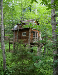 7 Magical Treehouses and Backyard Forts