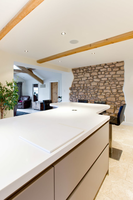 Gary & Sue modern-kitchen