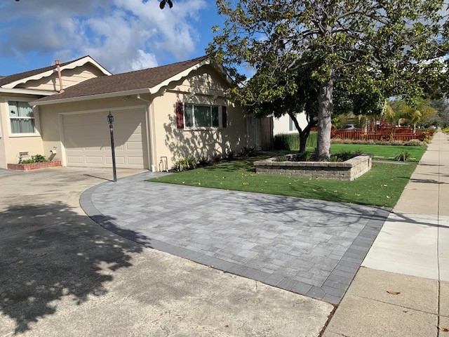 Parker Front Yard