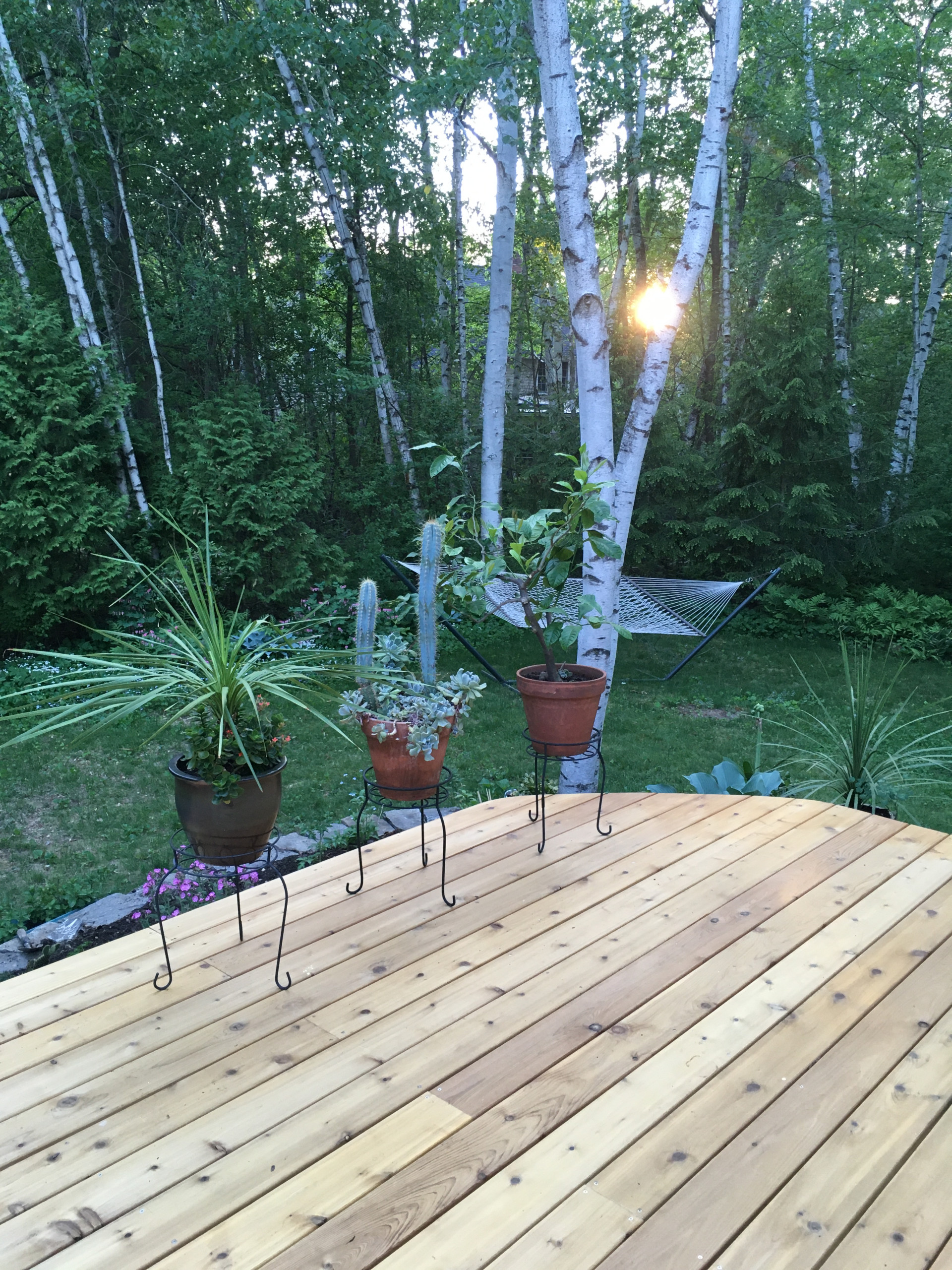 Cedar Deck with curve
