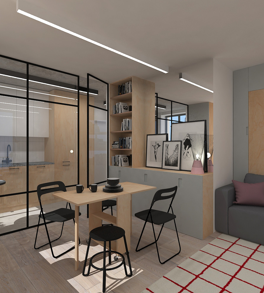 Проект квартиры на Академической