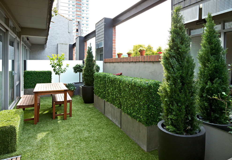 This is an example of a contemporary backyard patio in Melbourne with a container garden and an awning.