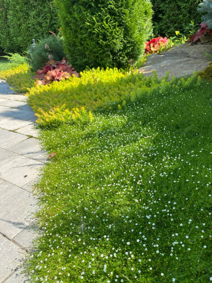 Поварово 4 года спустя