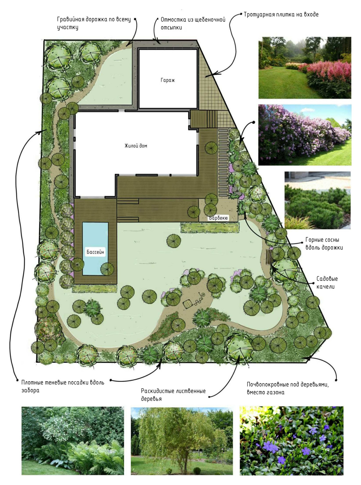 Проект сада "Серебряный лес", Москва