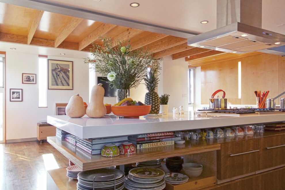 Kitchen - contemporary kitchen idea in Los Angeles