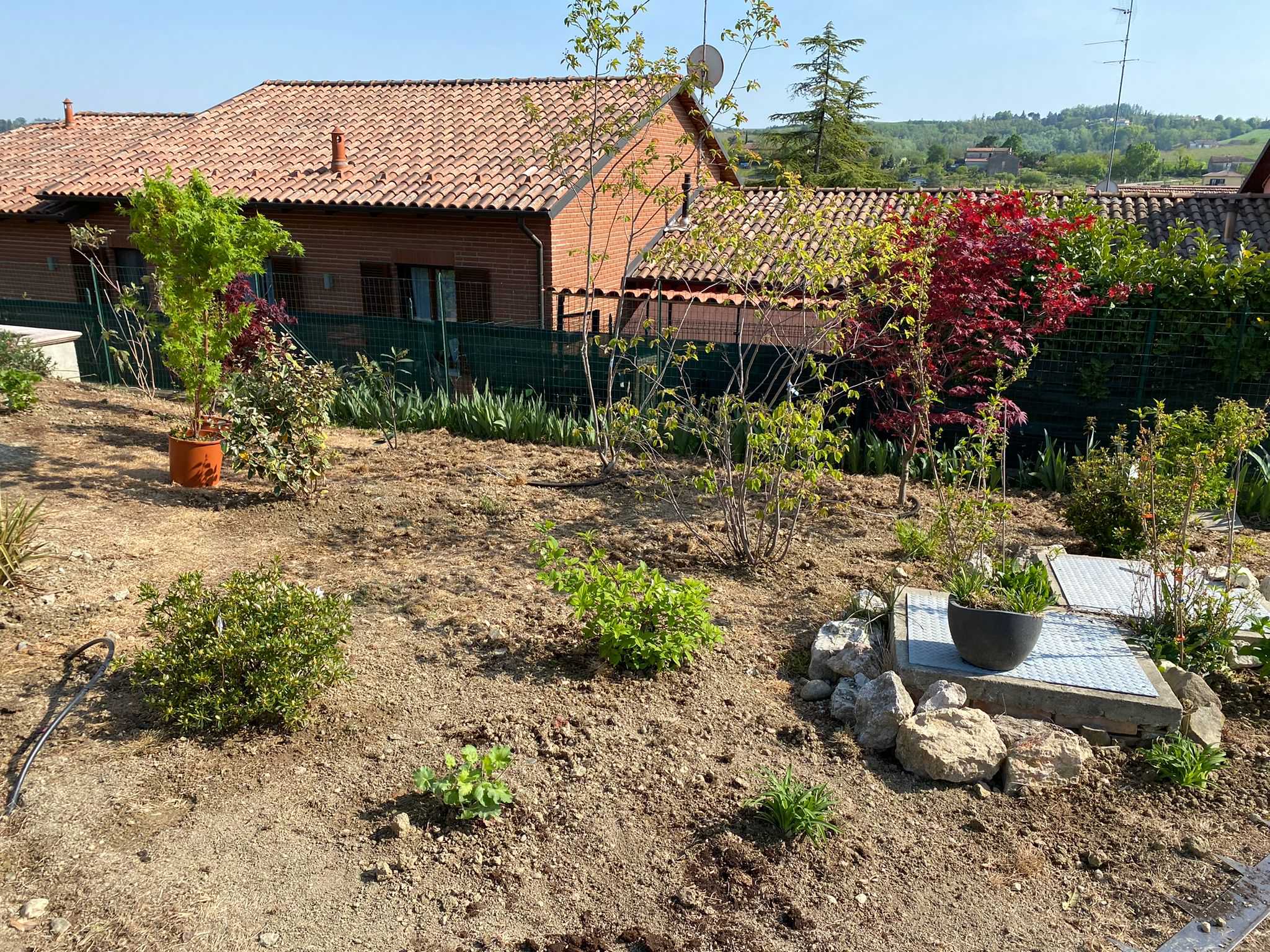 Realizzazione Le colline in fiore