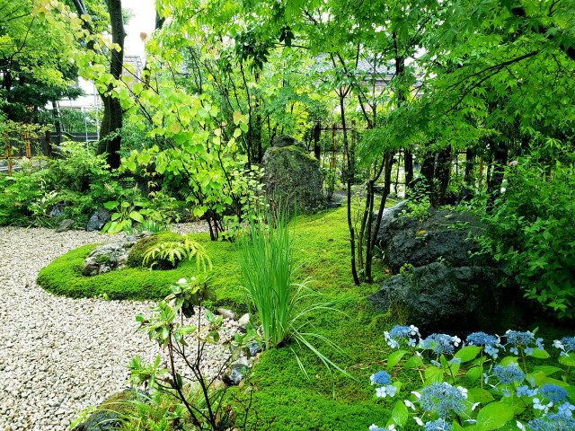 手打ちそば鬼七様のアプローチから主庭 japones-moderno-jardin