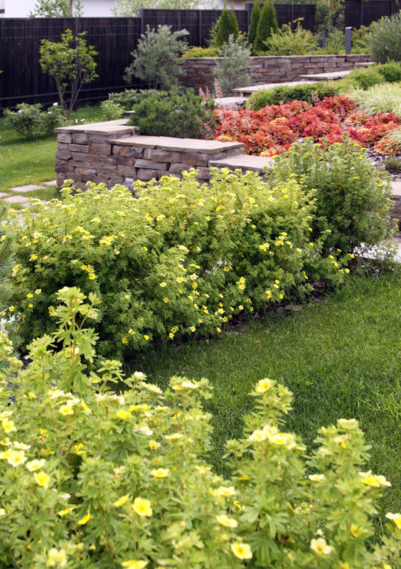 Современный сад