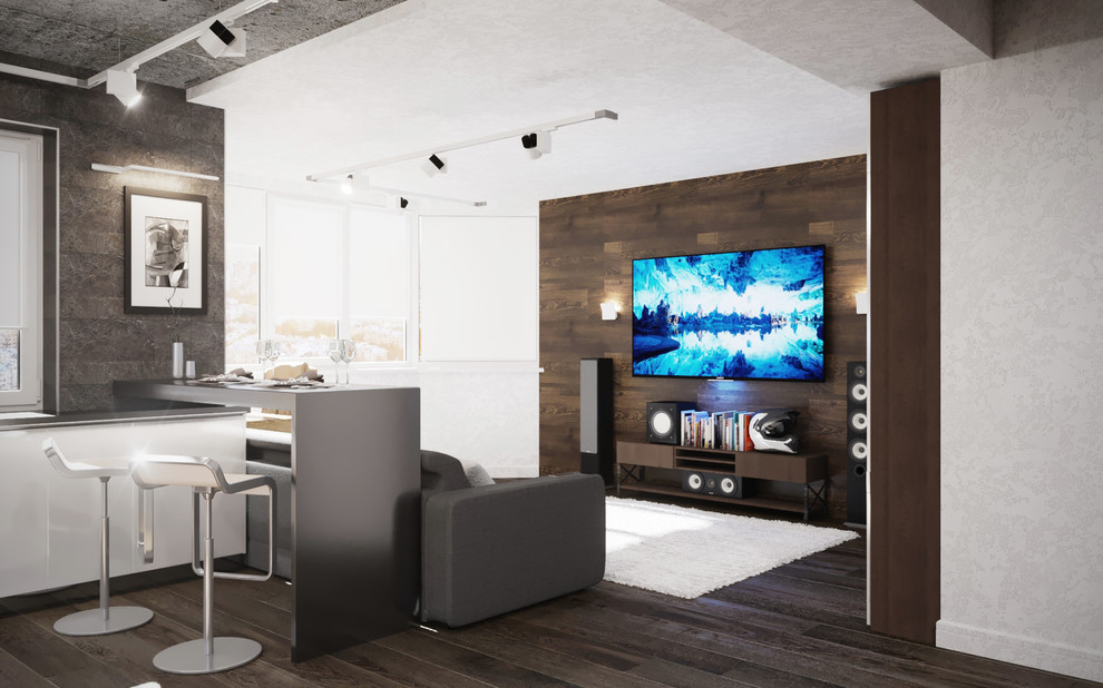 Холостяцкая квартира (гостиная/кухня)