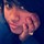 webuser_605626