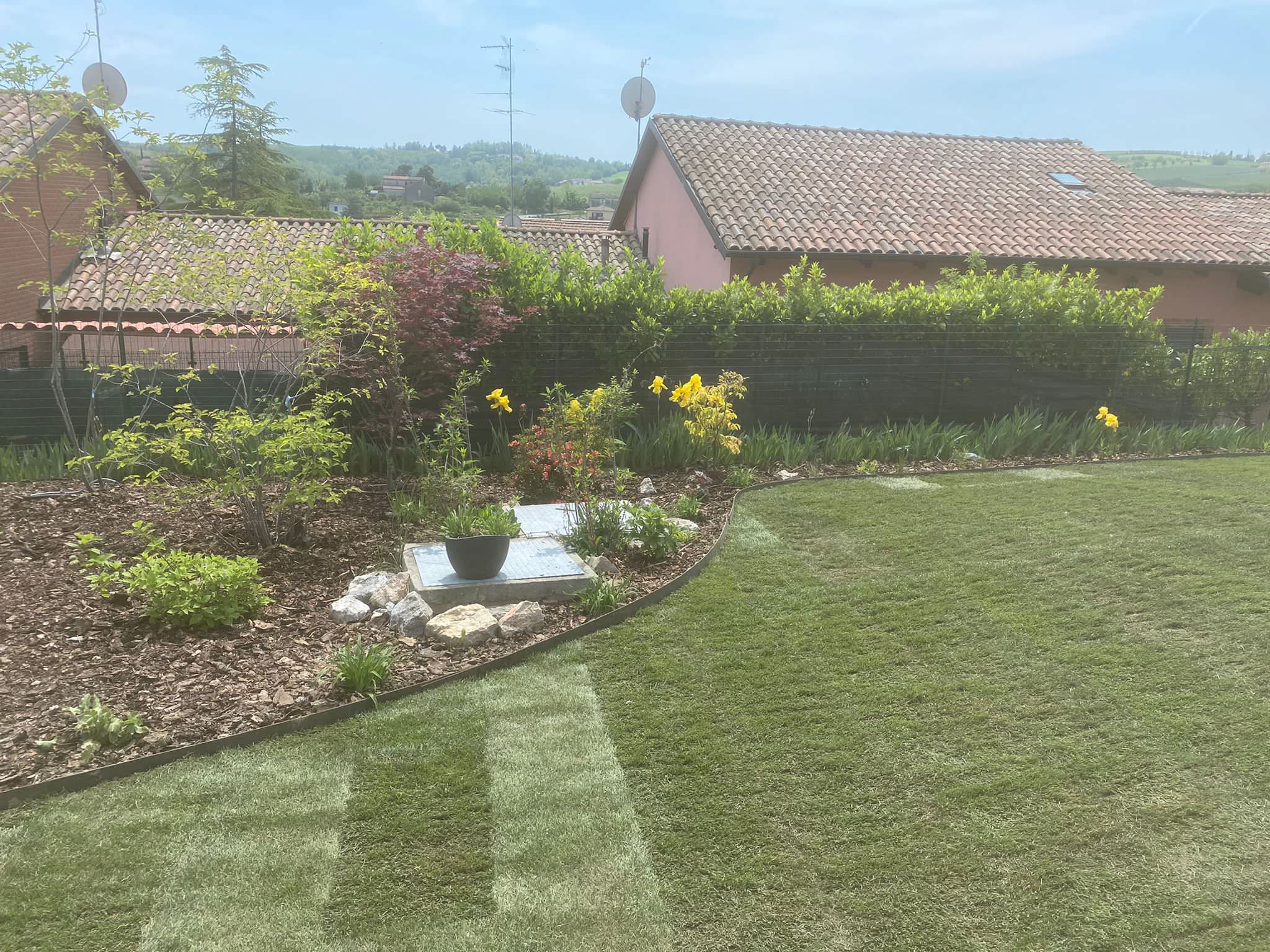 Realizzazione Le colline in fiore