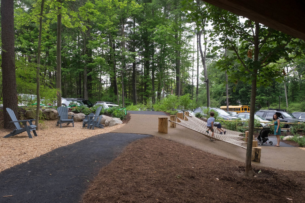 Discovery Woods