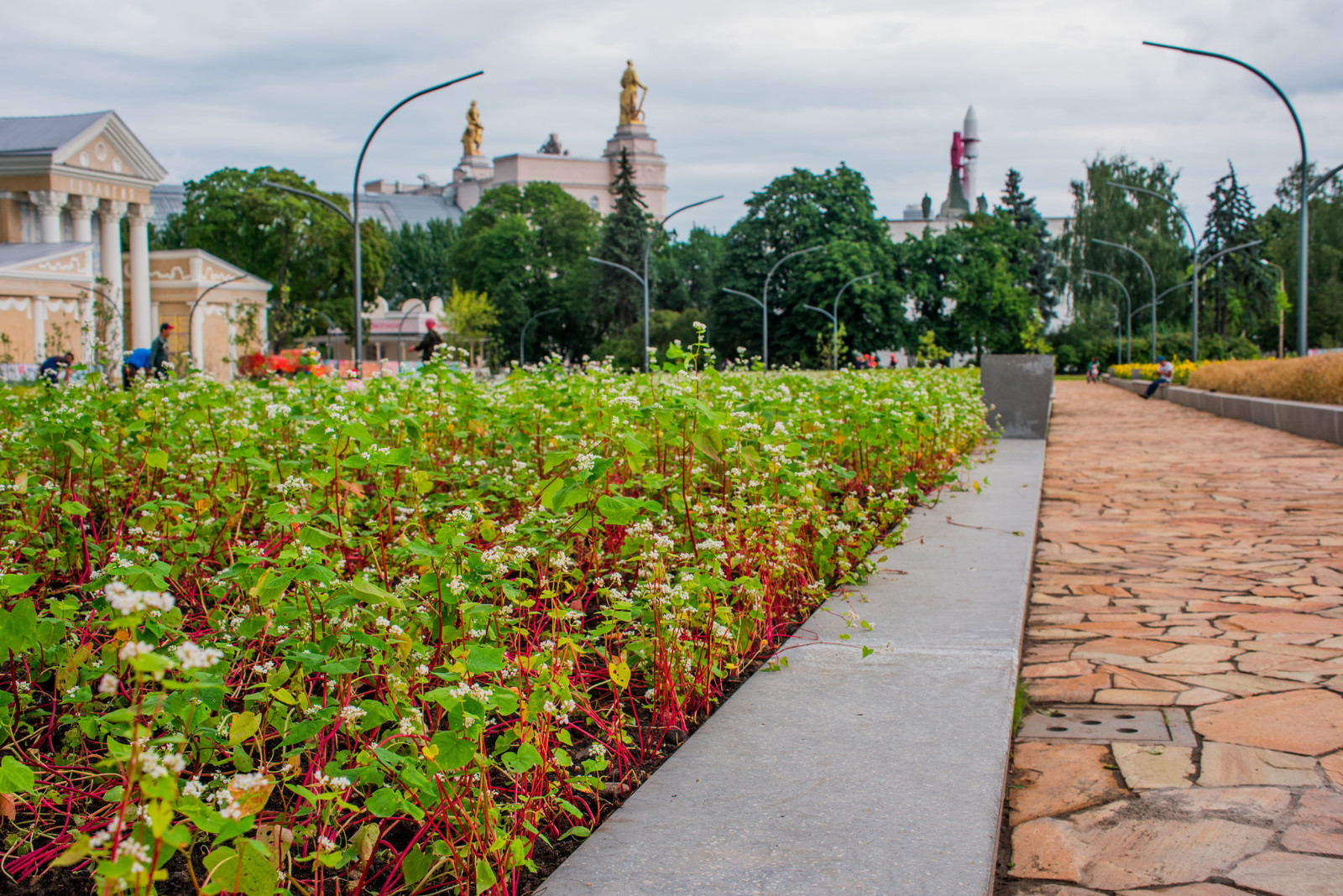 ЛАНДШАФТНЫЙ ПАРК ВДНХ Г.МОСКВА