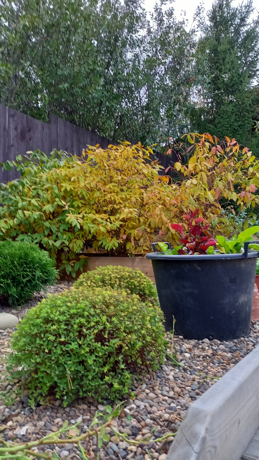 Сад для ландшафтного дизайнера.